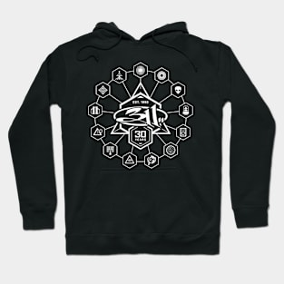 311 Hoodie